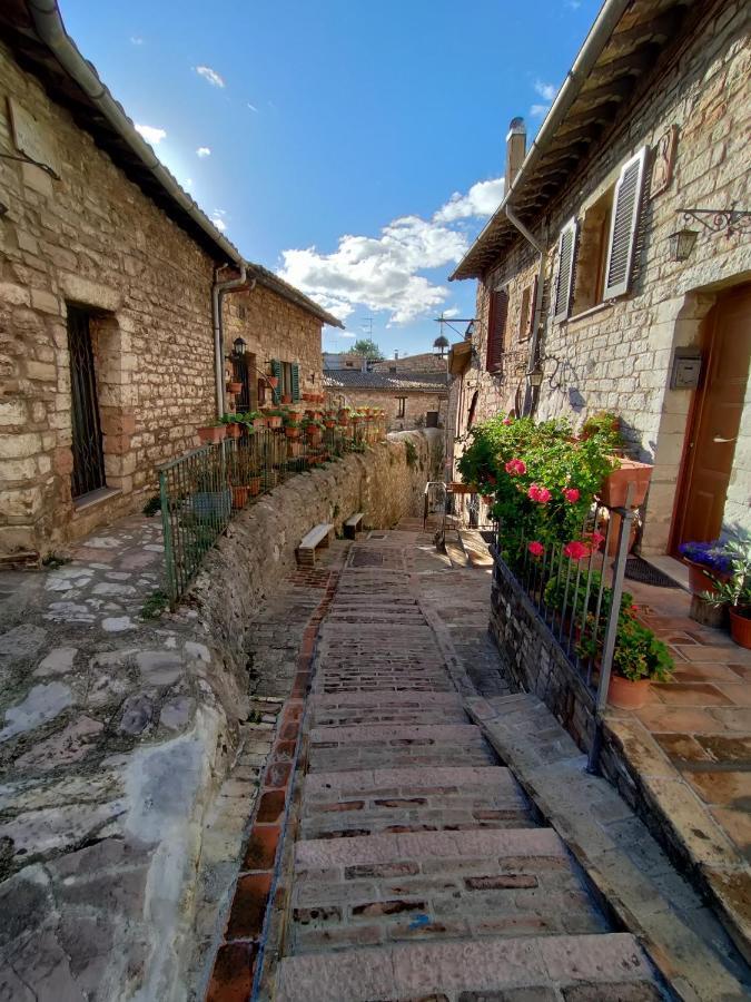 Le Casette Di Franco & Anna Assisi Kültér fotó